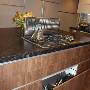 Contemporary Kitchen Remodel Pedini Kitchen Cabinetry