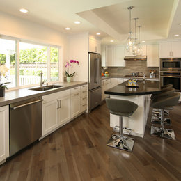 https://www.houzz.com/photos/contemporary-kitchen-remodel-south-san-jose-ca-transitional-kitchen-san-francisco-phvw-vp~53913118