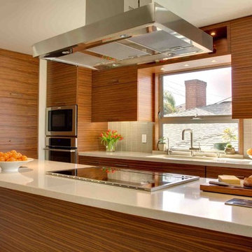 Contemporary Kitchen Remodel