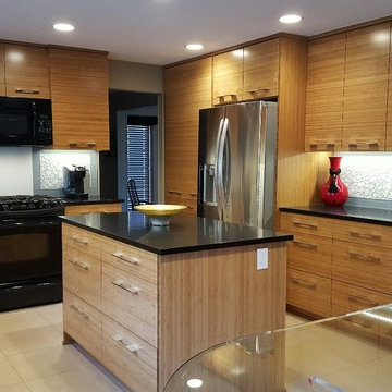 Contemporary Kitchen remodel