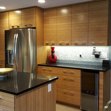 Contemporary Kitchen remodel