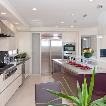 Contemporary Kitchen Remodeling in Northern CA
