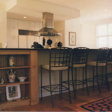 Contemporary kitchen renovation