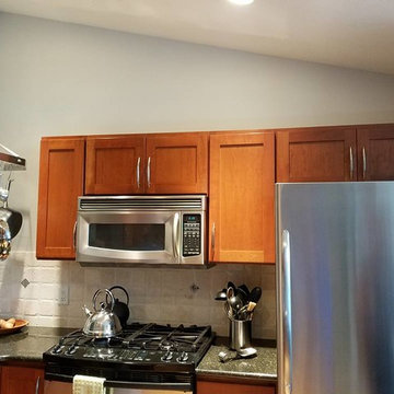 Contemporary Kitchen Renovation - Cabinet before Refacing