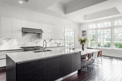 Trendy dark wood floor kitchen photo in Miami with a double-bowl sink, flat-panel cabinets, white cabinets, multicolored backsplash, stainless steel appliances and an island