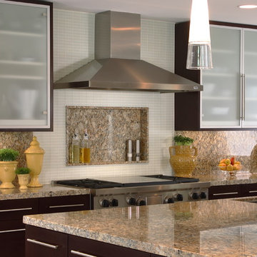 Contemporary Kitchen with Glass Frosted Cabinets