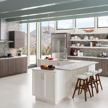 Contemporary Kitchen with Piper and Oakland Park Door Styles