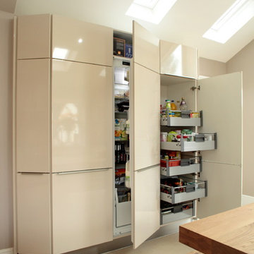 Contemporary kitchen with tall storage