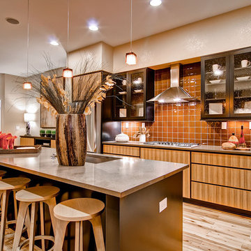 Contemporary Kitchen