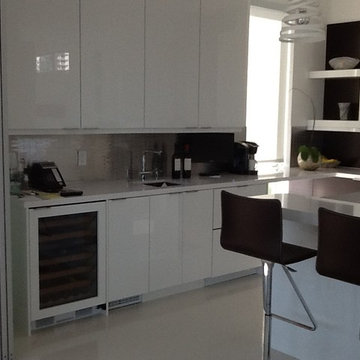 Contemporary Kitchens l Coral Springsk