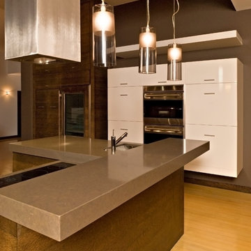 Contemporary Large Kitchen