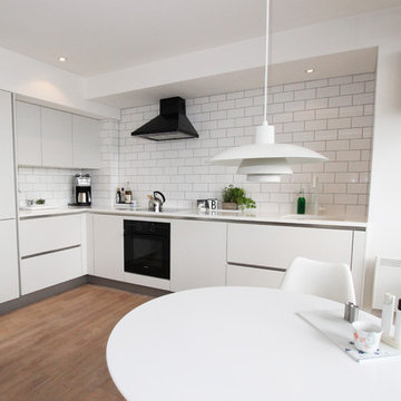 Contemporary matt white kitchen