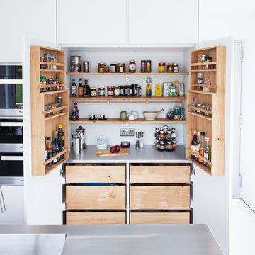 Contemporary Minimalist Kitchen