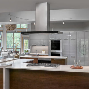 Idee per una cucina moderna di medie dimensioni con lavello a vasca singola, ante lisce, top in quarzo composito, elettrodomestici da incasso, pavimento in ardesia e penisola
