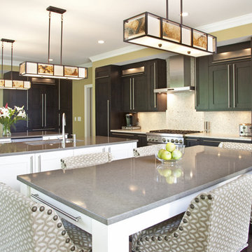 Contemporary or Transitional Kitchens