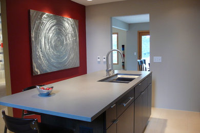 Trendy kitchen photo in Minneapolis