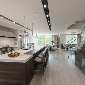 Contemporary Residential Great Room