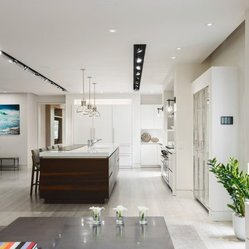 Contemporary Residential Kitchen