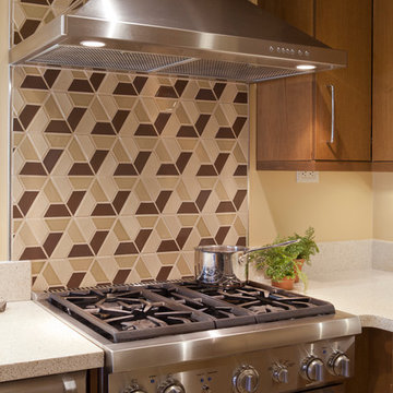 Contemporary Small Kitchen