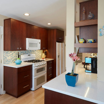 Contemporary Small Northbrook Kitchen