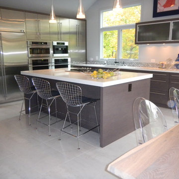 Contemporary Stainless Kitchen