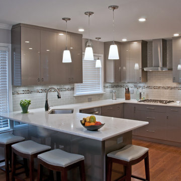 Contemporary Western Springs Kitchen