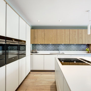 Contemporary White Basement Kitchen