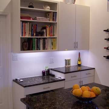 Contemporary White Kitchen Cabinetry
