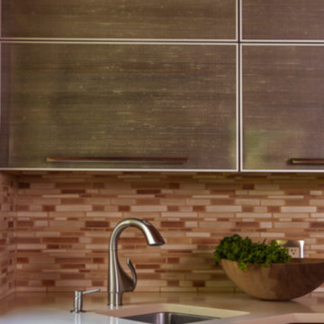 Contemporary Whole House Remodel