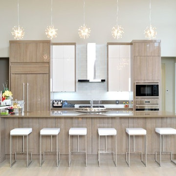 Contemporary Kitchen in Acrylic Finish