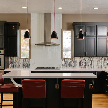 Contrasting Contemporary Kitchen Remodel