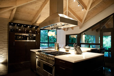 Inspiration for a contemporary kitchen remodel in Miami