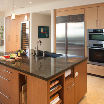 Coronado Home Remodel