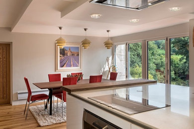 This is an example of a contemporary kitchen in Other.