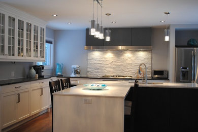 This is an example of a contemporary kitchen in Ottawa.