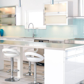 Crystal Acrylic Contemporary Kitchen