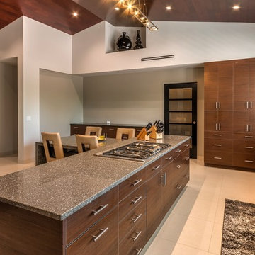 Crystal Cabinets Contemporary Kitchen