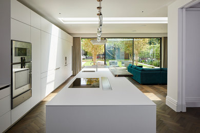 Photo of an expansive modern kitchen/diner in Other with an island.
