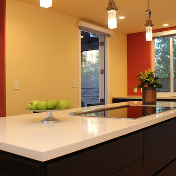 Cupertino kitchen in carbon oak and gloss white cabinets