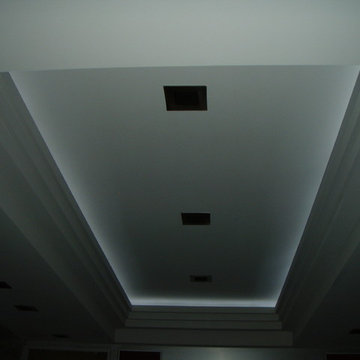 Custom ceiling details plus LED Cove lighting