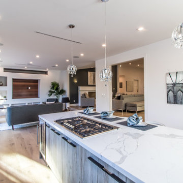 Custom Kitchen & Living Room | Urban Oasis Complete Home Remodel | Studio City,