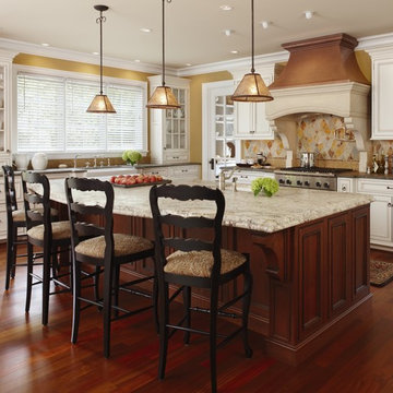 Custom Kitchen Remodel in Birmingham, MI