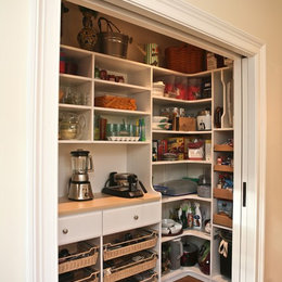 https://www.houzz.com/photos/custom-pantry-traditional-kitchen-boston-phvw-vp~33747