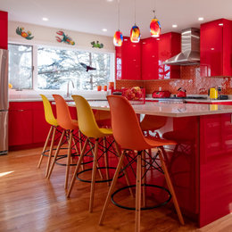https://www.houzz.com/photos/custom-red-lacquer-kitchen-contemporary-kitchen-new-york-phvw-vp~154229913