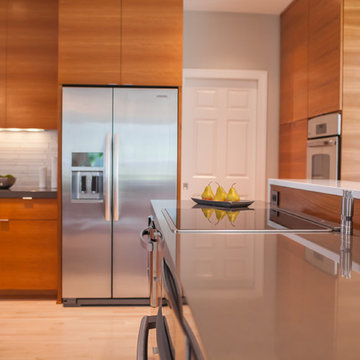 Customized Contemporary  |  Kitchen Remodel