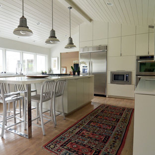 Kitchen - contemporary kitchen idea in Dallas