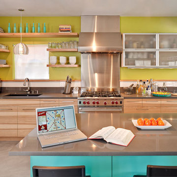Dandelion House by Jennifer Ott Design