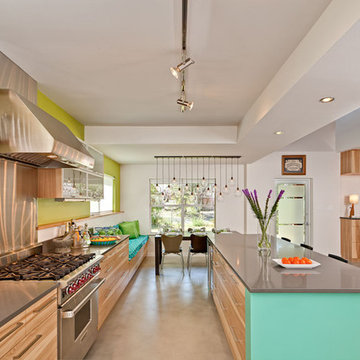 Dandelion House by Jennifer Ott Design