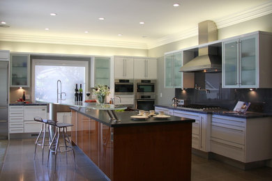 Inspiration for a contemporary kitchen remodel in Other with glass countertops and stainless steel appliances