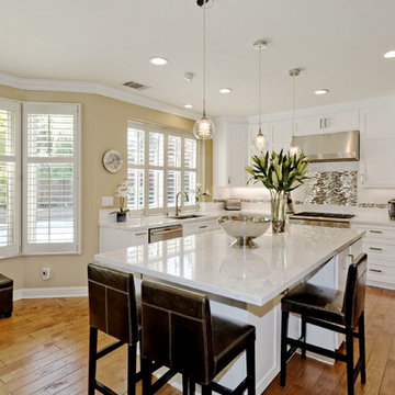 Danville Contemporary Kitchen